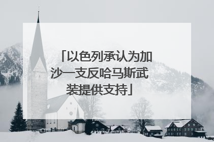 以色列承认为加沙一支反哈马斯武装提供支持