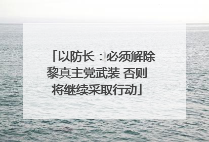 以防长：必须解除黎真主党武装 否则将继续采取行动