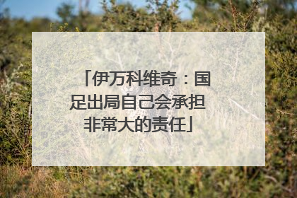 伊万科维奇：国足出局自己会承担非常大的责任