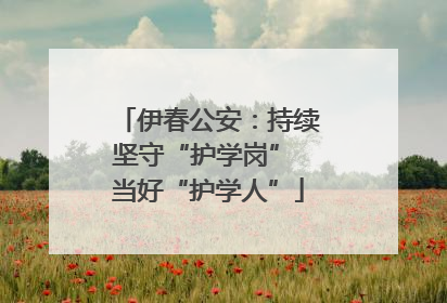 伊春公安：持续坚守“护学岗” 当好“护学人”