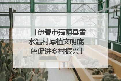 伊春市嘉荫县雪水温村厚植文明底色促进乡村振兴