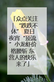 众点关注｜“跌跌不休” 夏日夜宵“顶流”小龙虾价格腰斩 东营人的快乐来了