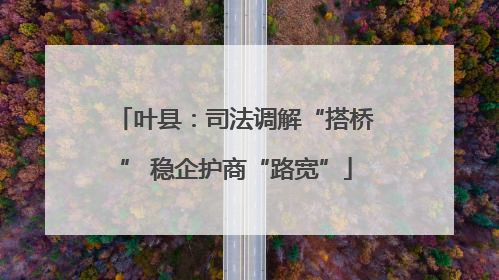 叶县：司法调解“搭桥” 稳企护商“路宽”