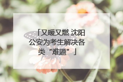 又暖又燃 沈阳公安为考生解决各类“难题”
