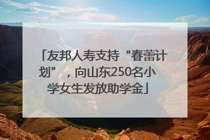 友邦人寿支持“春蕾计划”，向山东250名小学女生发放助学金