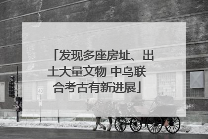 发现多座房址、出土大量文物 中乌联合考古有新进展