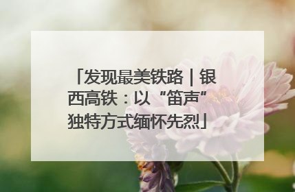 发现最美铁路｜银西高铁：以“笛声”独特方式缅怀先烈