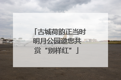 古城荷韵正当时 明月公园邀您共赏“别样红”