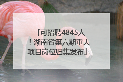 可招聘4845人！湖南省第六期重大项目岗位归集发布