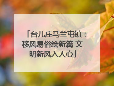 台儿庄马兰屯镇：移风易俗绘新篇 文明新风入人心
