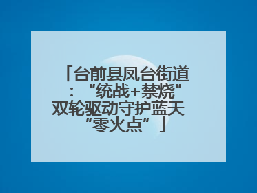 台前县凤台街道：“统战+禁烧”双轮驱动守护蓝天 “零火点”
