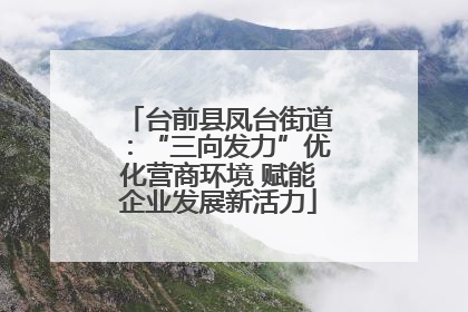台前县凤台街道：“三向发力”优化营商环境 赋能企业发展新活力