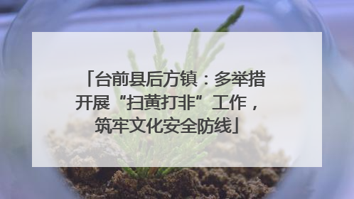 台前县后方镇：多举措开展“扫黄打非”工作，筑牢文化安全防线
