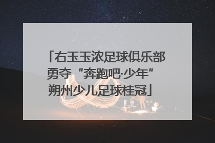 右玉玉浓足球俱乐部勇夺“奔跑吧·少年”朔州少儿足球桂冠