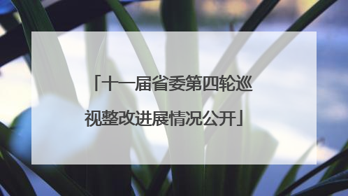 十一届省委第四轮巡视整改进展情况公开