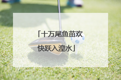 十万尾鱼苗欢快跃入湟水