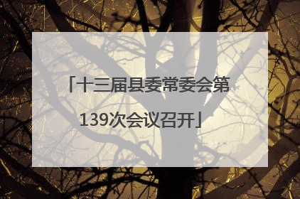 十三届县委常委会第139次会议召开