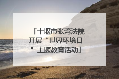 十堰市张湾法院开展“世界环境日”主题教育活动