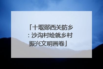 十堰郧西关防乡：沙沟村绘就乡村振兴文明画卷