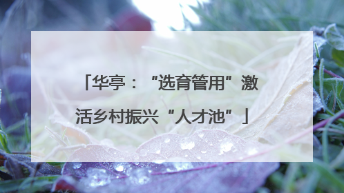 华亭：“选育管用”激活乡村振兴“人才池”