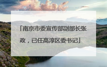南京市委宣传部副部长张政，已任高淳区委书记