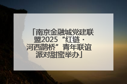 南京金融城党建联盟2025“红链・河西鹊桥”青年联谊派对甜蜜举办