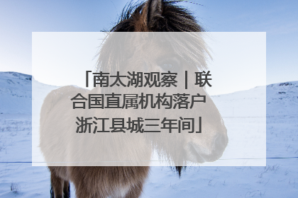 南太湖观察｜联合国直属机构落户浙江县城三年间