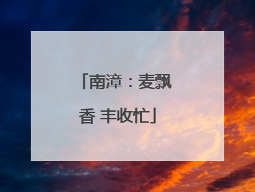 南漳：麦飘香 丰收忙