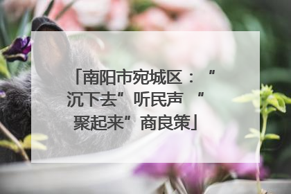 南阳市宛城区：“沉下去”听民声 “聚起来”商良策
