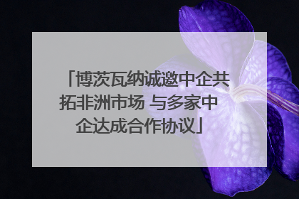 博茨瓦纳诚邀中企共拓非洲市场 与多家中企达成合作协议