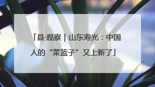县·观察｜山东寿光：中国人的“菜篮子”又上新了
