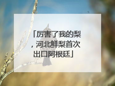 厉害了我的梨，河北鲜梨首次出口阿根廷