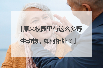 原来校园里有这么多野生动物，如何相处？