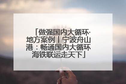 做强国内大循环·地方案例丨宁波舟山港：畅通国内大循环海铁联运走天下