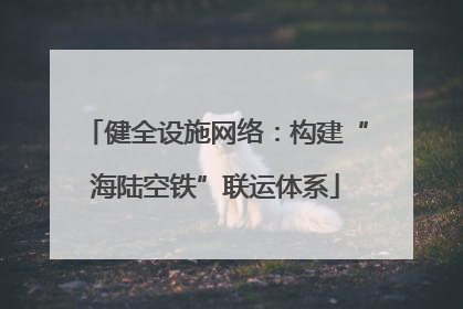 健全设施网络：构建“海陆空铁”联运体系