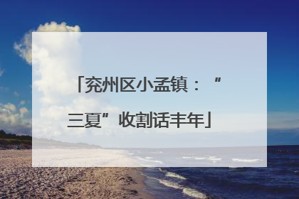 兖州区小孟镇：“三夏”收割话丰年