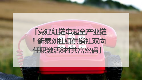 党建红链串起全产业链！新泰刘杜镇供销社双向任职激活8村共富密码