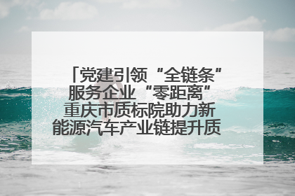 党建引领“全链条” 服务企业“零距离” 重庆市质标院助力新能源汽车产业链提升质量管理水平