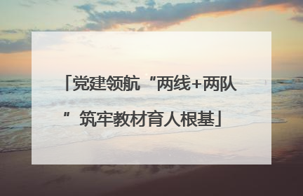 党建领航“两线+两队”筑牢教材育人根基