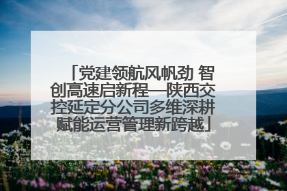 党建领航风帆劲 智创高速启新程—陕西交控延定分公司多维深耕赋能运营管理新跨越