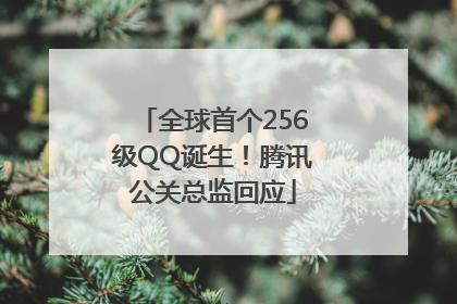 全球首个256级QQ诞生！腾讯公关总监回应