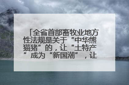 全省首部畜牧业地方性法规是关于“中华熊猫猪”的，让“土特产”成为“新国潮”，让“农产品”升格为“城市IP”