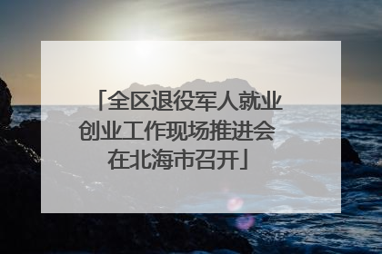 全区退役军人就业创业工作现场推进会在北海市召开