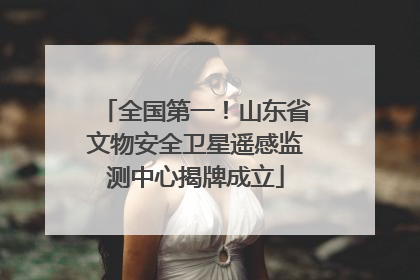 全国第一！山东省文物安全卫星遥感监测中心揭牌成立