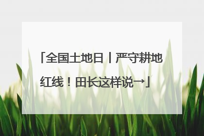 全国土地日丨严守耕地红线！田长这样说→