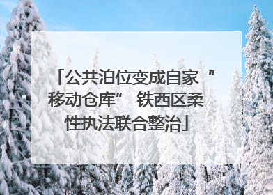 公共泊位变成自家“移动仓库” 铁西区柔性执法联合整治