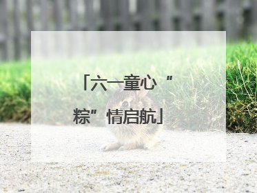六一童心“粽”情启航