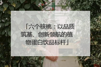 六个核桃：以品质筑基、创新领航的植物蛋白饮品标杆