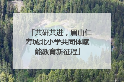 共研共进，眉山仁寿城北小学共同体赋能教育新征程