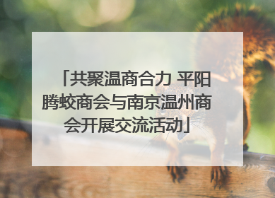 共聚温商合力 平阳腾蛟商会与南京温州商会开展交流活动